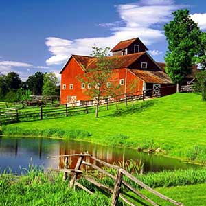 FARM